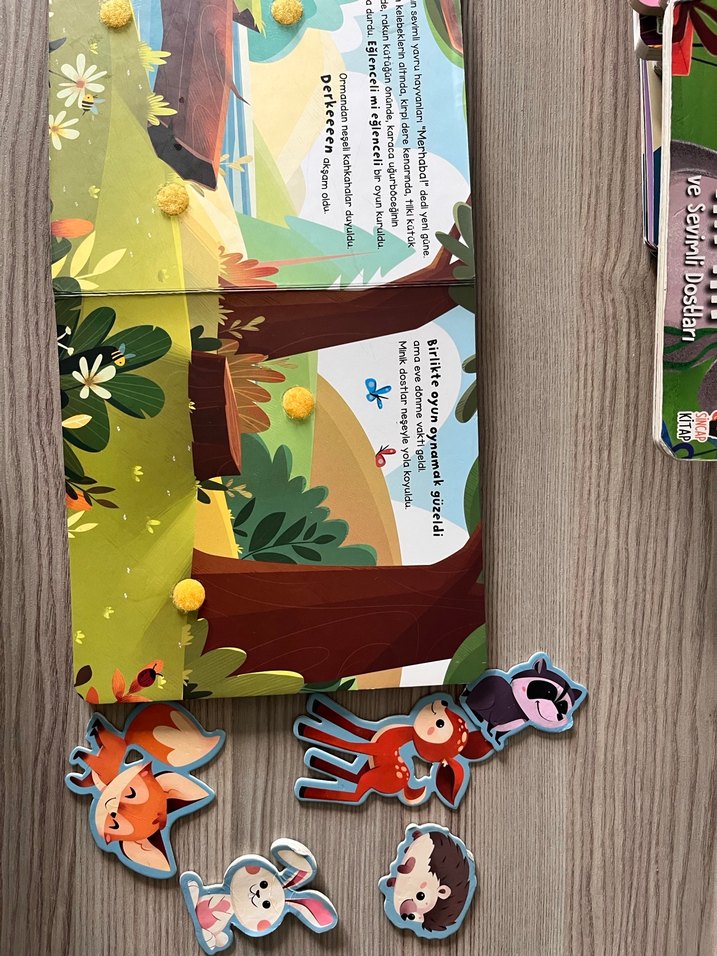 Merhaba Orman - Çocuk Hikaye Kitabı - Görsel 5