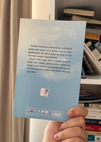 Yitik Düşler Geçidi Roman Kitabı - Görsel 2