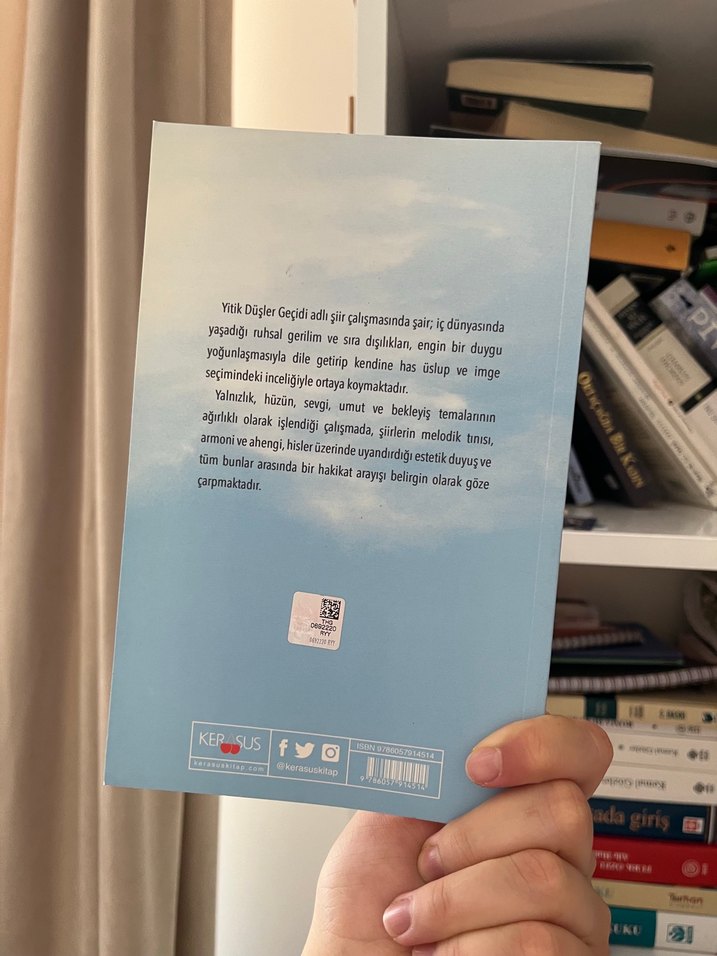 Yitik Düşler Geçidi Roman Kitabı - Görsel 2