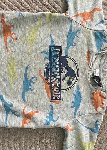 Erkek Çocuk Sweatshirt