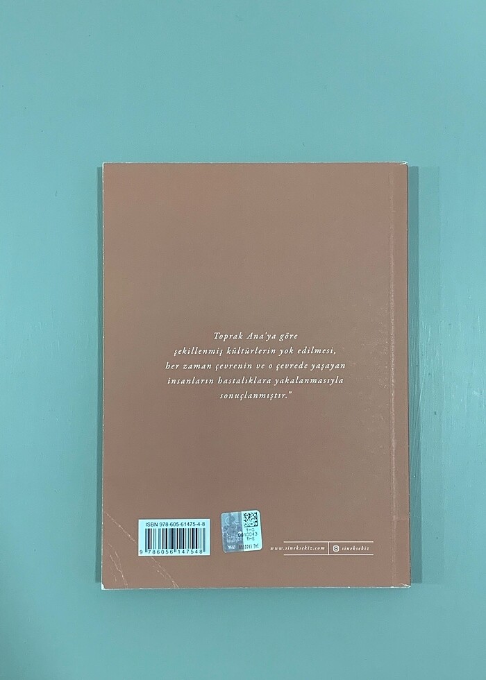 İyilerin Yanında/ Sinek Sekiz Yayınevi - Görsel 2