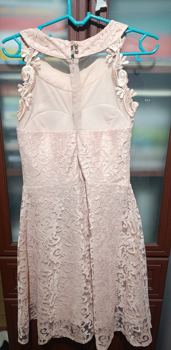 Bej Dantel İşlemeli Pudra renk Elbise - Görsel 2