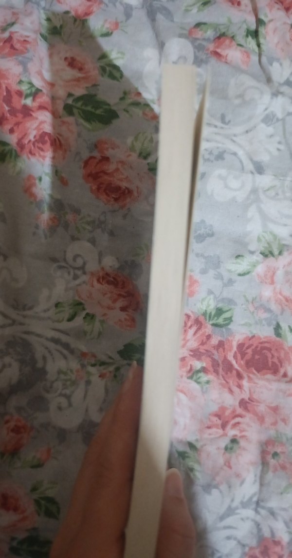 Karabasan - Tim Fox - Görsel 4