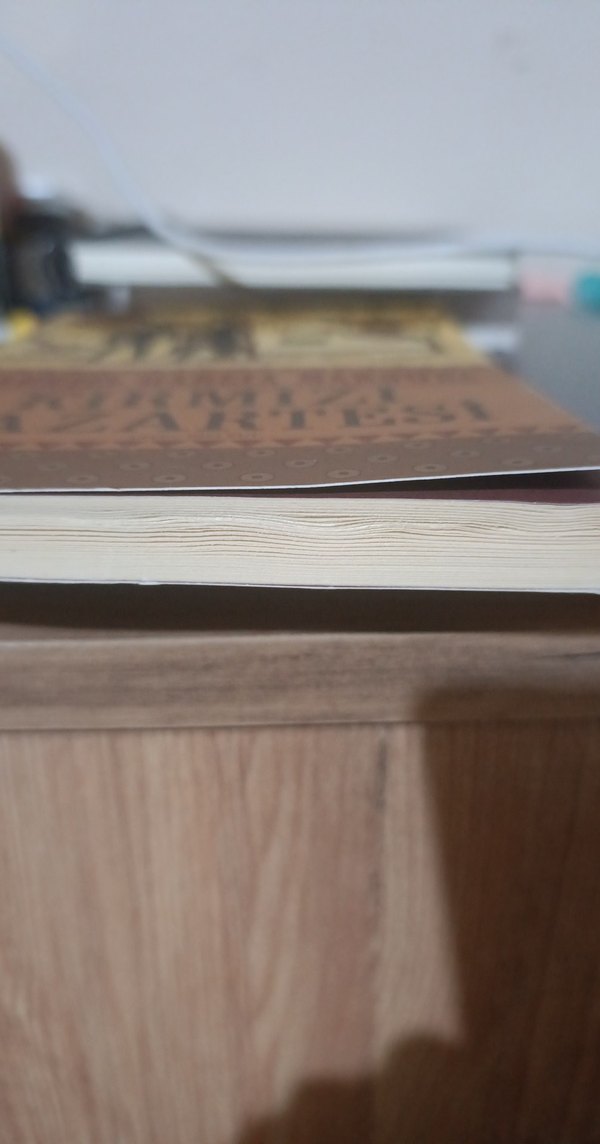 Kırmızı Pazartesi - Gabriel García Márquez - Görsel 3