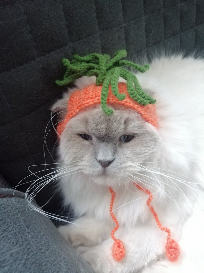 Renkli Havuç Temalı Kedi Şapkası - Görsel 3