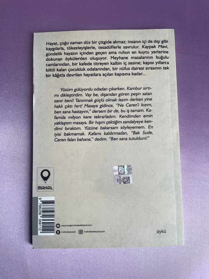 Kaypak Mavi - Huban Seda Aras - Görsel 2