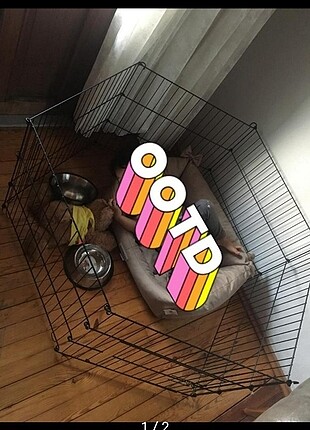 köpek çiti 