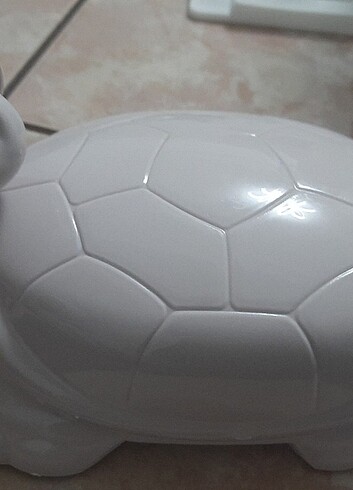 Kaplumbağa gırgır - Görsel 2