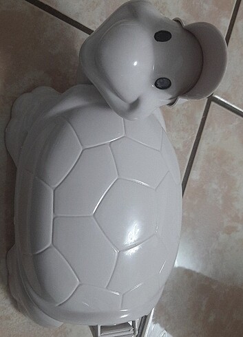 Kaplumbağa gırgır - Görsel 4