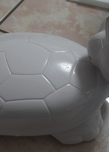 Kaplumbağa gırgır - Görsel 5