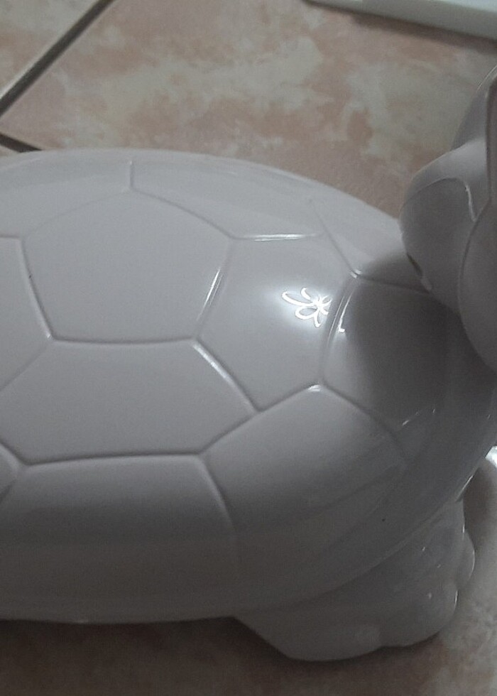 Kaplumbağa gırgır - Görsel 5