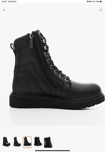 37 Beden Harley davidson bot