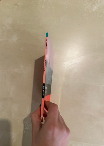 The Stranger - Norman Whitney - Görsel 4