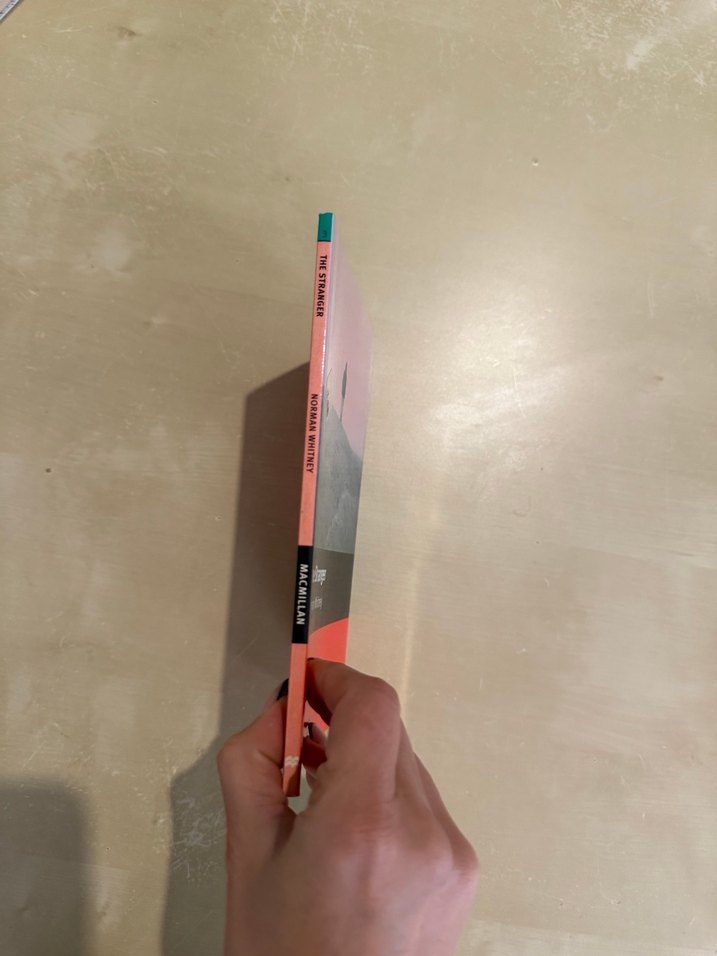 The Stranger - Norman Whitney - Görsel 4