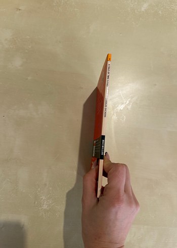 Charles Dickens - İki Şehrin Hikayesi - Görsel 4