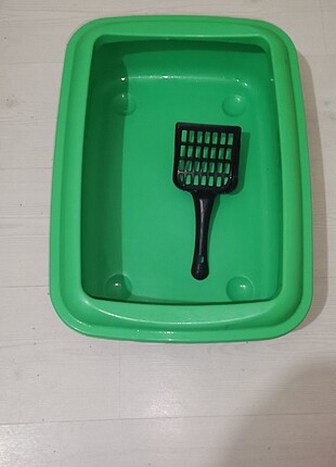 Yeşil kedi tuvaleti