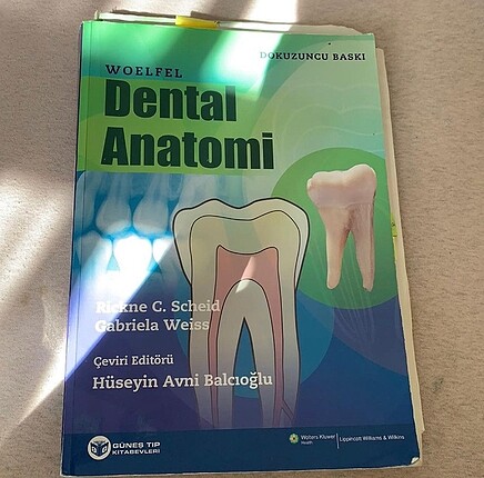  Beden Woelfel Dental Anatomi 9. Baskı