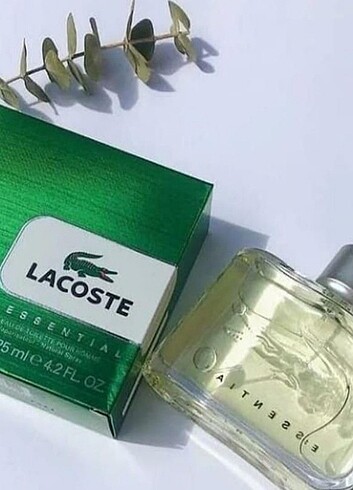 Lacoste erkek parfüm 100 ml 