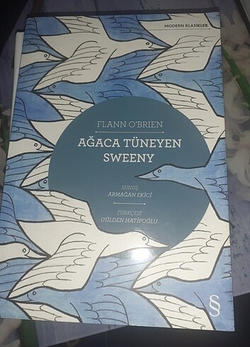 Ağaca tüneyen sweeny