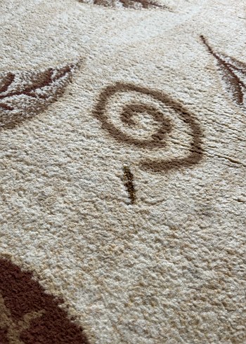 Kahverengi Baskılı Desenli Halı - Görsel 5