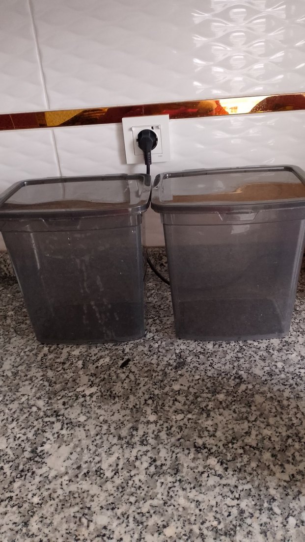 Gri Plastik saklama Kutuları - Görsel 2