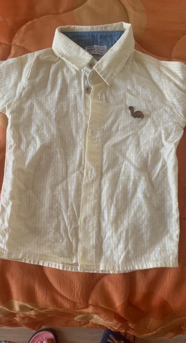 Erkek Çocuk açık sarı pamuklu Gömlek 9 ay - Görsel 2