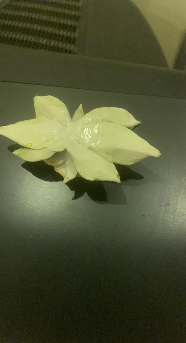 Pudra Vintage kapütomonte çiçek 8x4 cm - Görsel 2