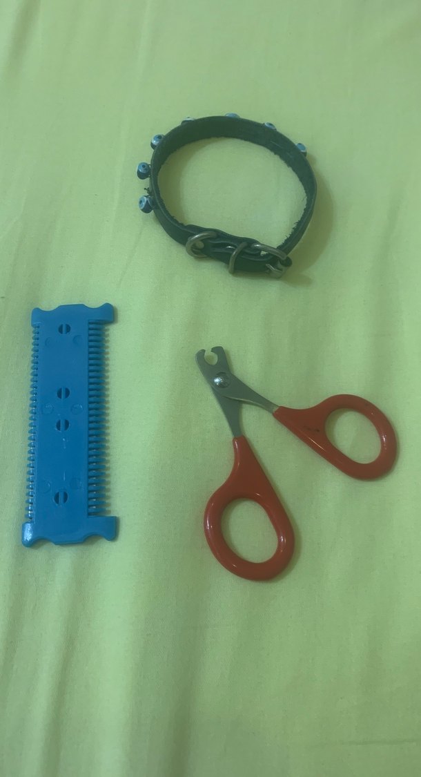 Renkli Kedi Tıraş Makası ve Tasma Seti - Görsel 2