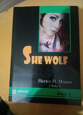 İngilizce kitap - Görsel 3