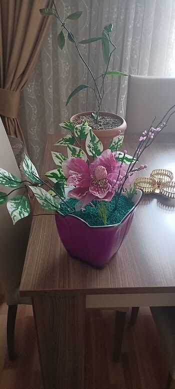 Çiçek çok güzel ve çok şıkk menekşee sümbül