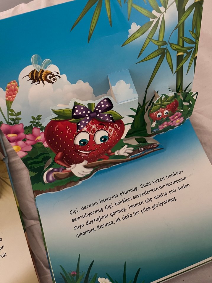 Çiçi 4 Kitap Seti - Okuma ve Eğlence - Görsel 4
