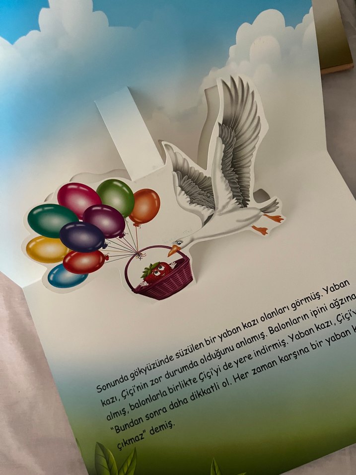 Çiçi 4 Kitap Seti - Okuma ve Eğlence - Görsel 5