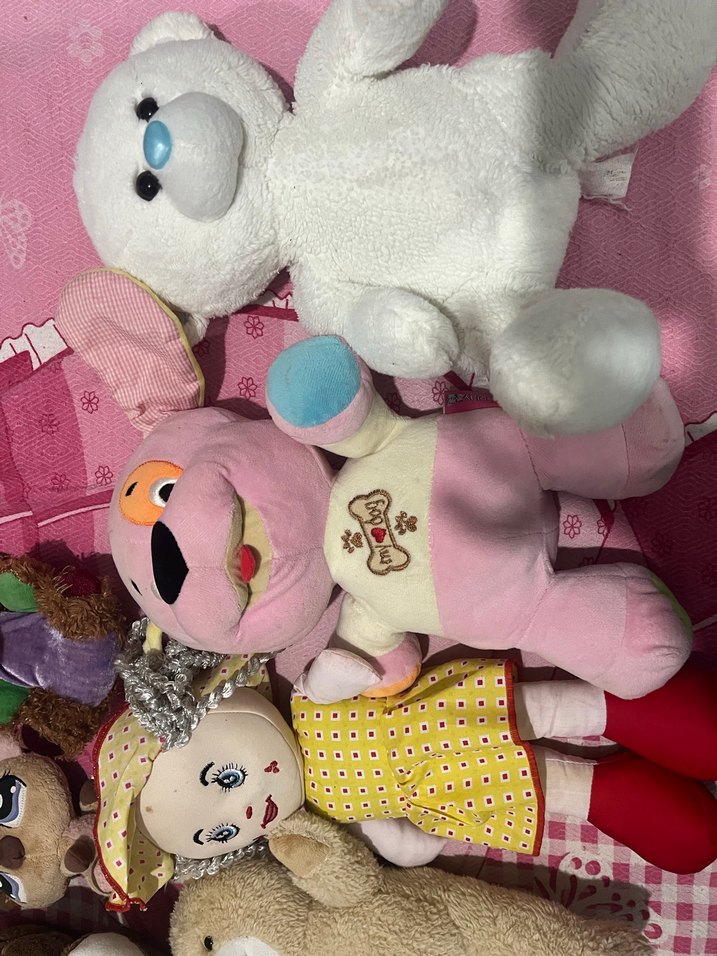 Renkli Peluş Oyuncak Seti - Görsel 2