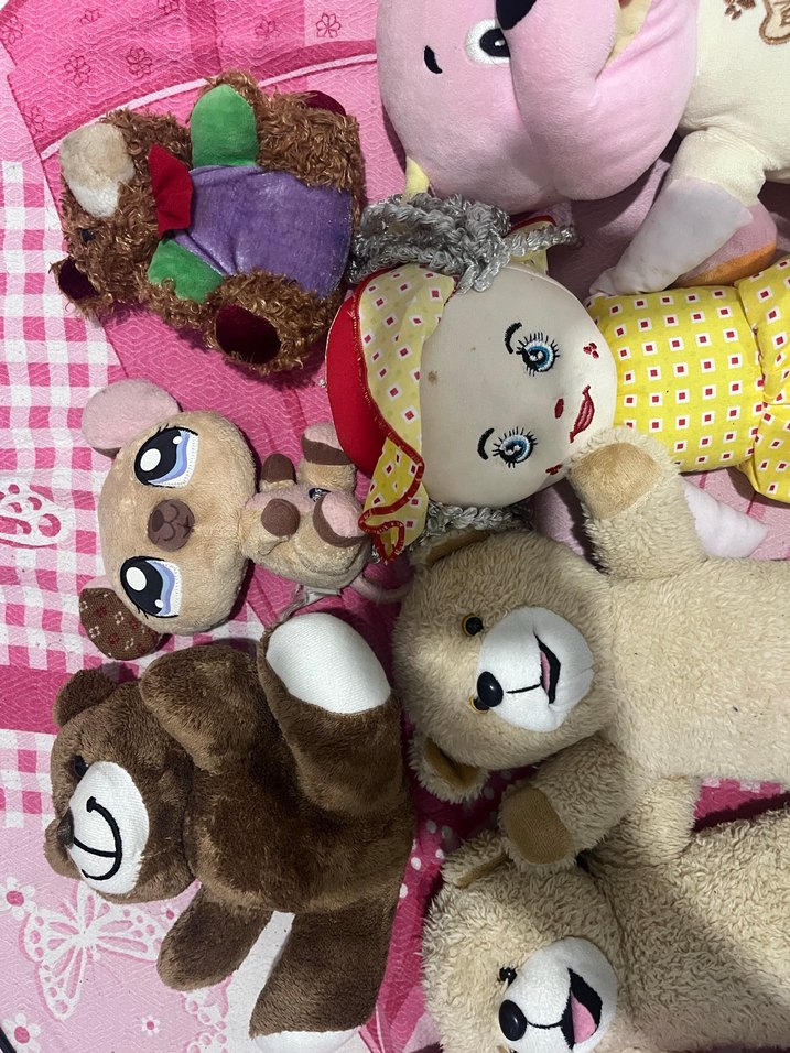 Renkli Peluş Oyuncak Seti - Görsel 3