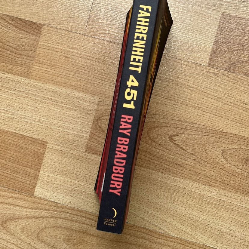 Fahrenheit 451 - Ray Bradbury - Görsel 4