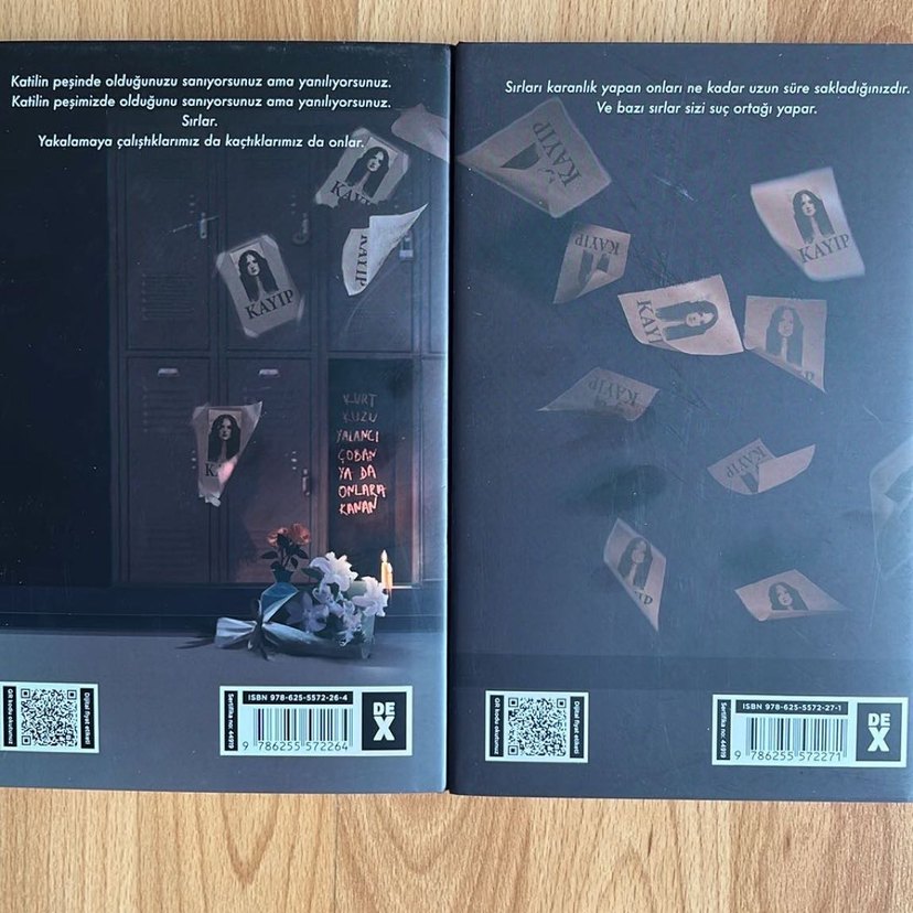 N.G. Kabal - Ophelia Valley Serisi Romanları - Görsel 2