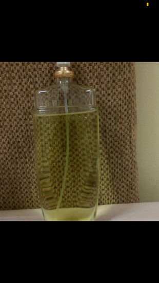 xs Beden Elizabeth Arden Sunflower