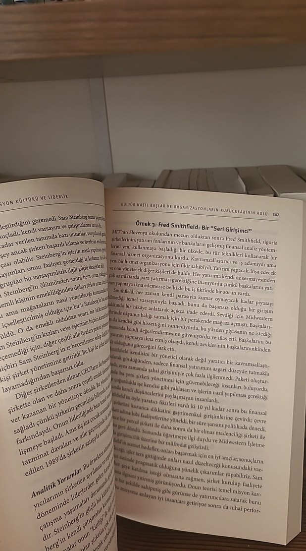 Organizasyon Kültürü ve Liderlik Kitabı - Görsel 3