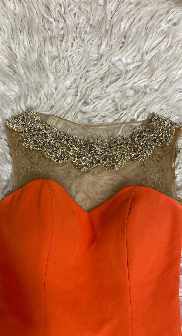 Turuncu taş ve hayalet tül detaylı sırt dekolteli balık model - Görsel 3