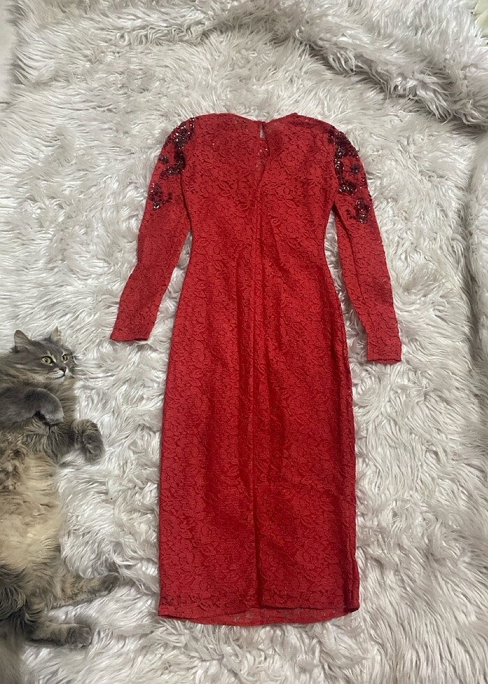 Narçiçeği tel detaylı şık zarif gece elbisesi - Görsel 4