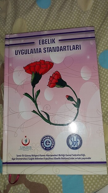 Ebelik uygulama standartları