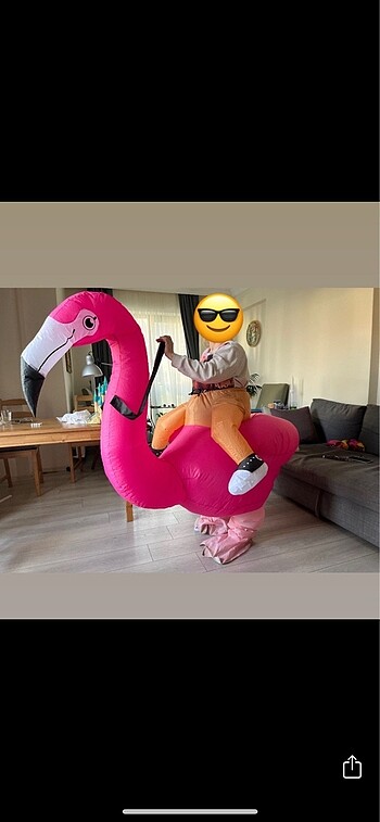 Şişme Flamingo Kostümü