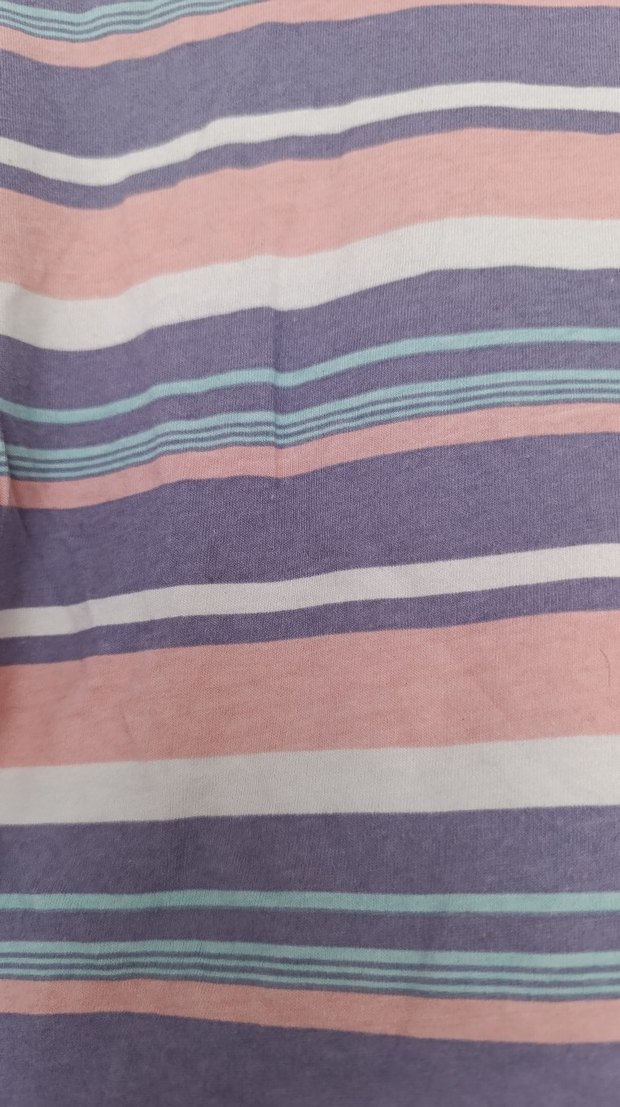 Kadın Renkli Kısa Kollu Crop Top - Görsel 2