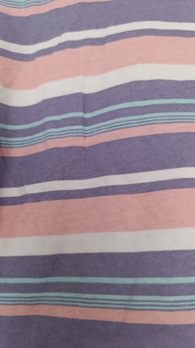 Kadın Renkli Kısa Kollu Crop Top - Görsel 4