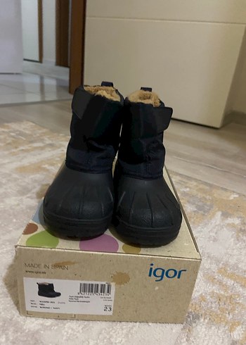 Igor 23