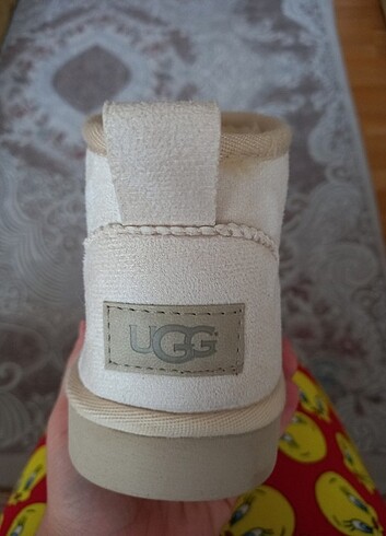 37 Beden Ugg bot