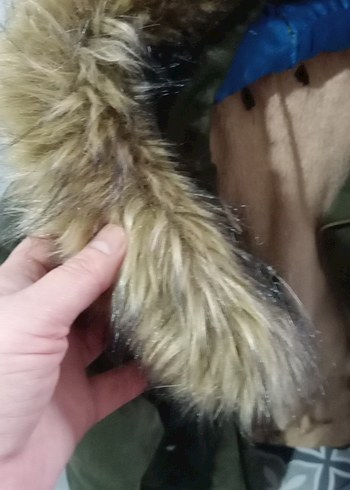 Kürk Detaylı Kadın Mont - Görsel 4