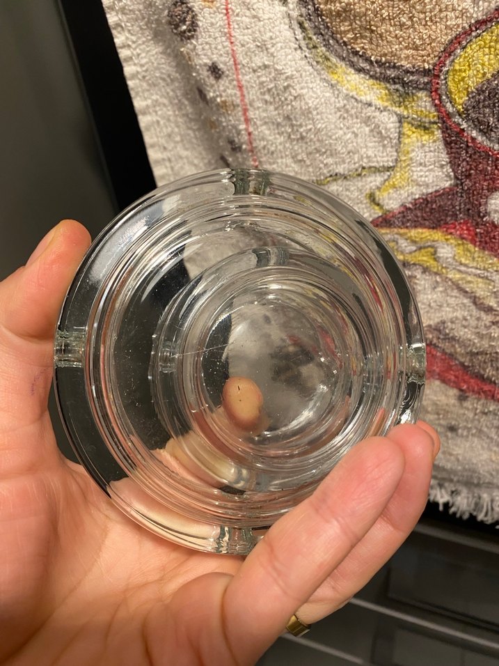 Şeffaf Cam Küllük - Görsel 2