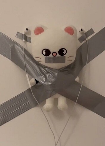 temizinden hyunnie