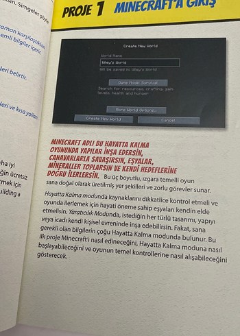 Minecraft Şehrimi İnşa Ediyorum - Dummies - Görsel 2